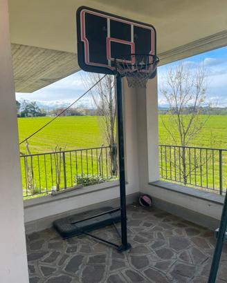 Tabellone Canestro regolabile in altezza