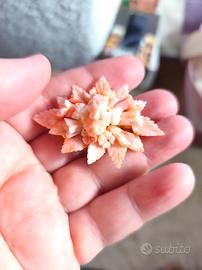 spilla di corallo 