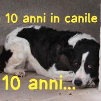 BIRBA 10 ANNI taglia media