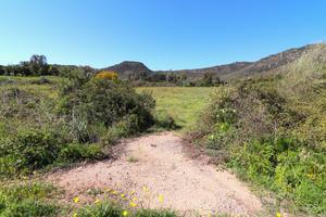 Terreno Agricolo Tortolì [Cod. rif 3135876VRG]