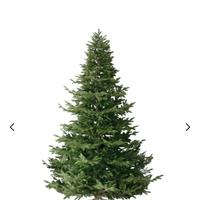 albero di natale rock feller  240cm