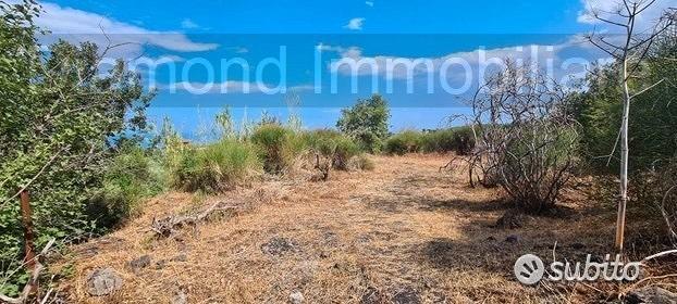 Terreno agricolo 3.800 mq panoramico a san gerardo - Vista 3