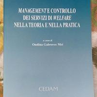 Management e controllo dei servizi di Welfare nell