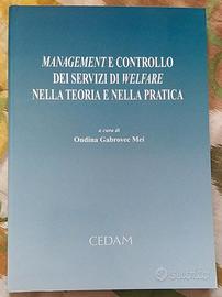 Management e controllo dei servizi di Welfare nell