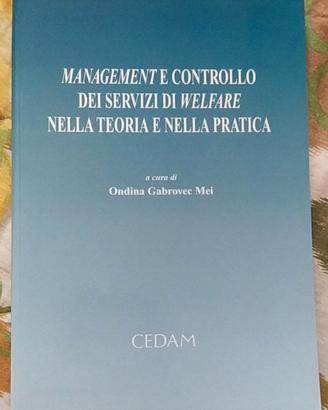 Management e controllo dei servizi di Welfare nell