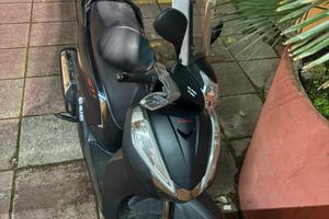 Sh 300 sport