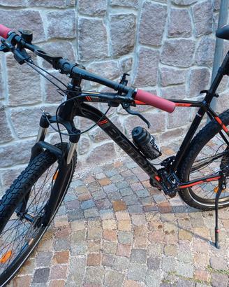 Mountain Bike Bianchi