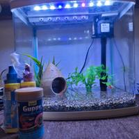 Acquario 18 lt.