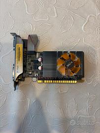 Scheda video zotac gt 610 synergy edition 2gb ddr3