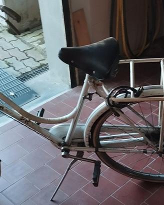 Bicicletta Regina donna