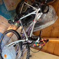 2 biciclette usate