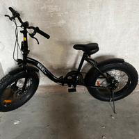 Fat bike