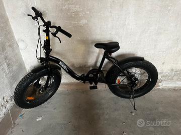 Fat bike