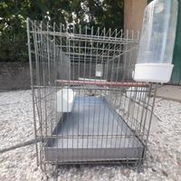 gabbia per canarini 
