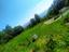 Immagine 29