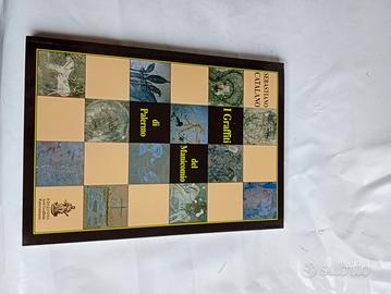 i graffiti del manicomio di Palermo 