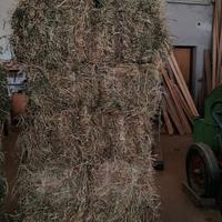 BALLETTE di 1 e 2 taglio di medica