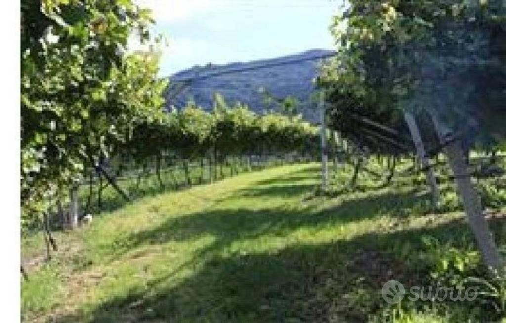 Immobile in asta di 2417 m² a Madruzzo - Vista 2