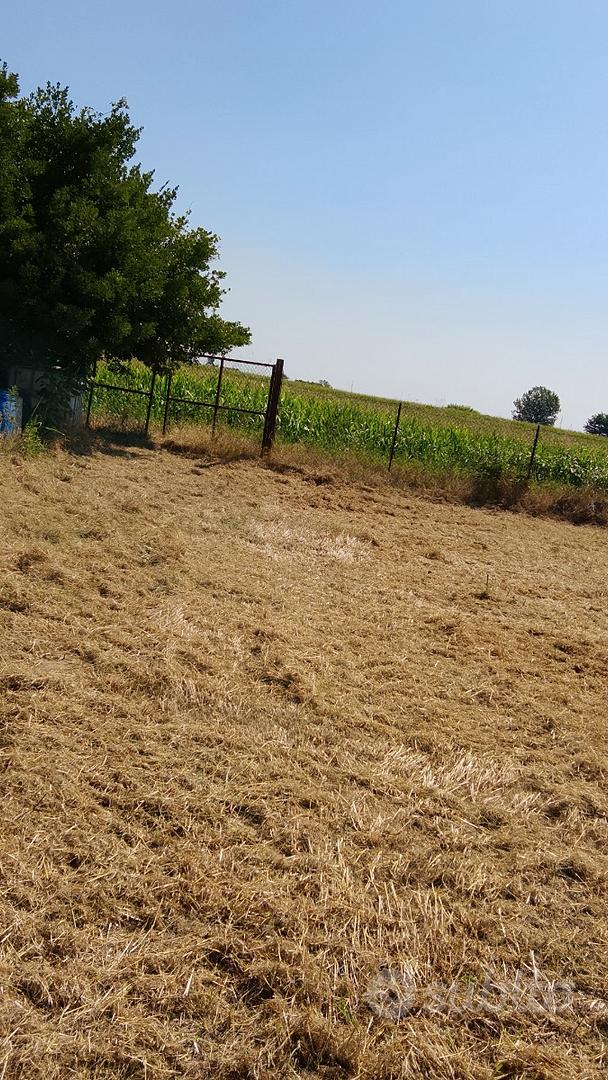 Terreno agricolo - Vista 2