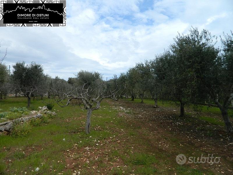 ANTICA LAMIA in VALLE D'ITRIA - OSTUNI - Vista 6