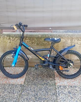 BICI 16 POLLICI 