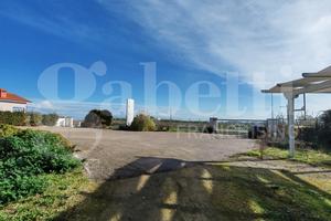 Terreno Residenziale Vasto [IM202584VRG]