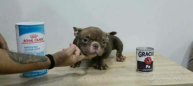 Nano bully