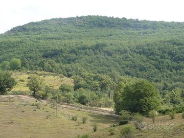 RGE 30/2016 - Tribunale di Urbino - Lotto A