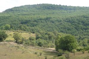 RGE 30/2016 - Tribunale di Urbino - Lotto A