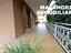 Immagine 14