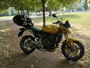 Honda Hornet - 2008