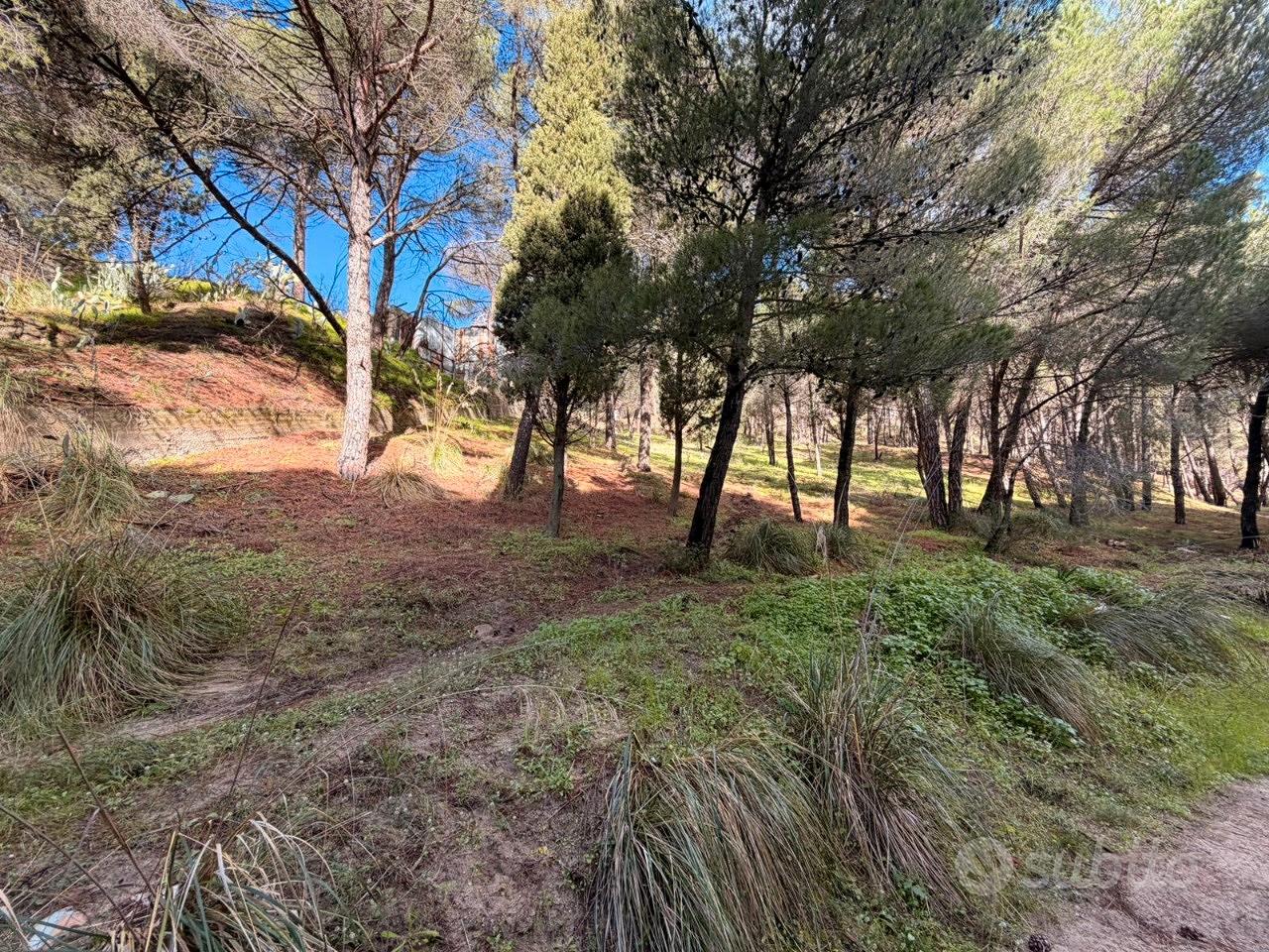 Terreno Boschivo Terreti 20650 Mq - Vista 2