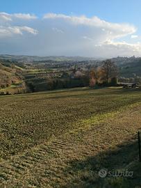 Terreno agricolo