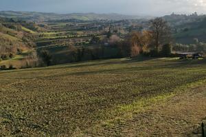 Terreno agricolo