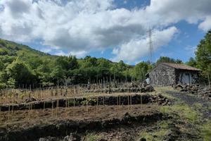 Vigneto Etna Bianco Superiore DOC con fabbricato