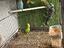 Immagine 2