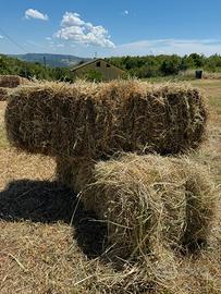 ballette di fieno