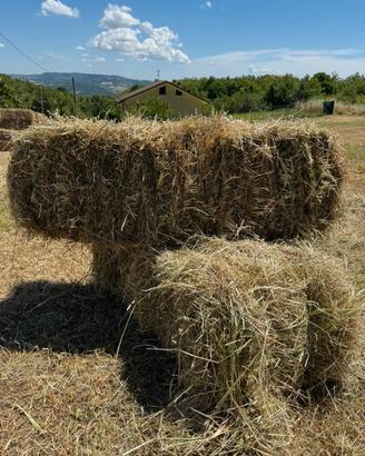 ballette di fieno