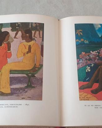 Libro biografico illustrato di Gauguin