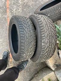 Gomme invernali kormoran