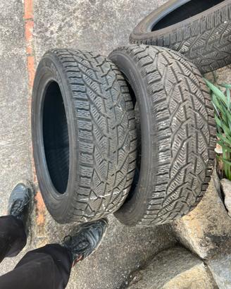 Gomme invernali kormoran
