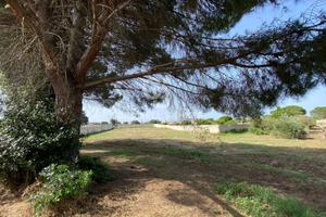 Terreno Edificabile - Vernole