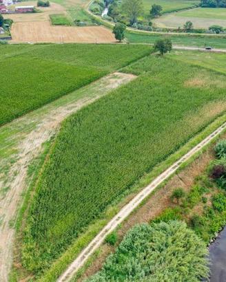 Terreno di 9147 m² a Moncalieri