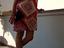 Immagine 1