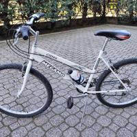 Bicicletta mountain bike ruote 26 pollici