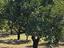 Immagine 29