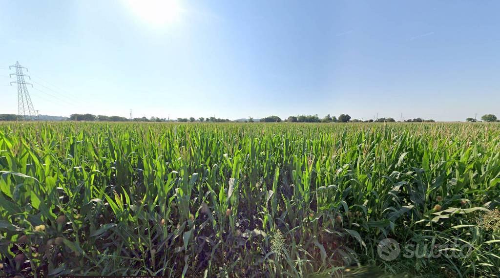 Terreno di 7330 m² a Castiglione delle Stiviere - Vista 5