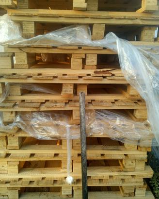 Palet