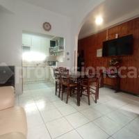 Terratetto Ateleta [Cod. rif 0326VRG]