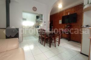 Terratetto Ateleta [Cod. rif 0326VRG]